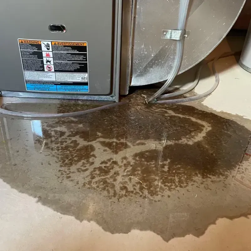 Appliance Leak Cleanup in Lesslie, SC